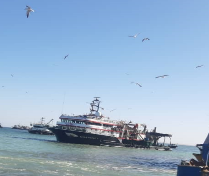 إنهم يستنزفون الثروة السمكية..